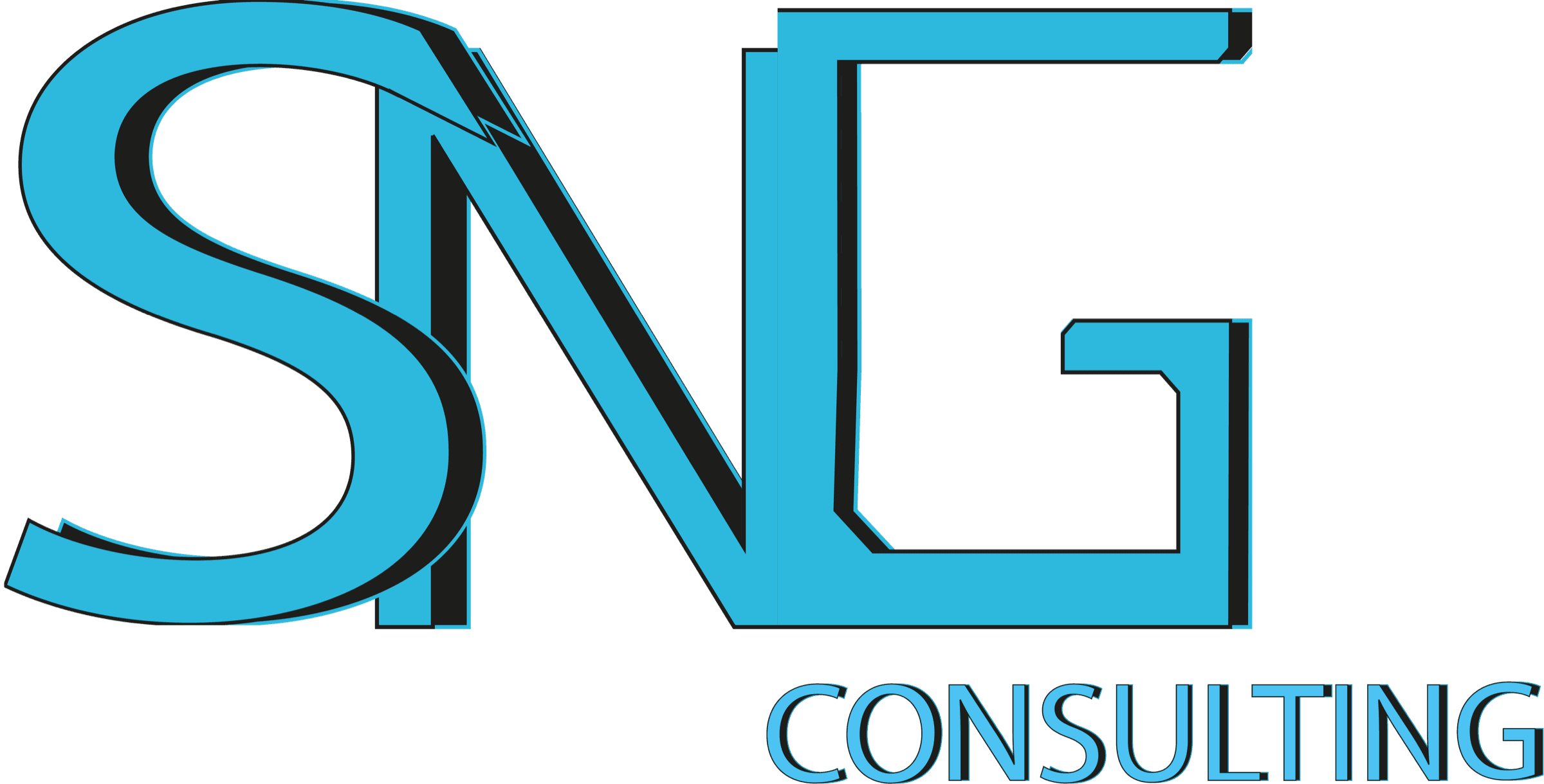 SNG Consulting